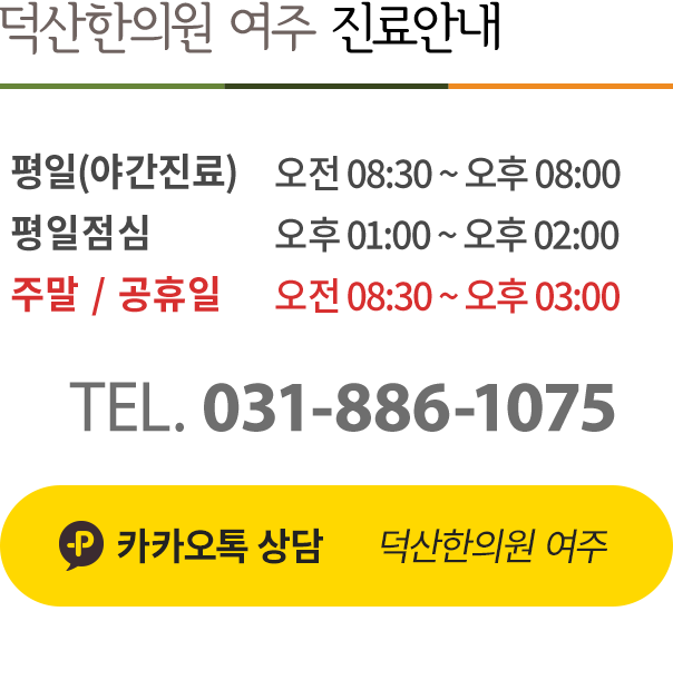 진료안내